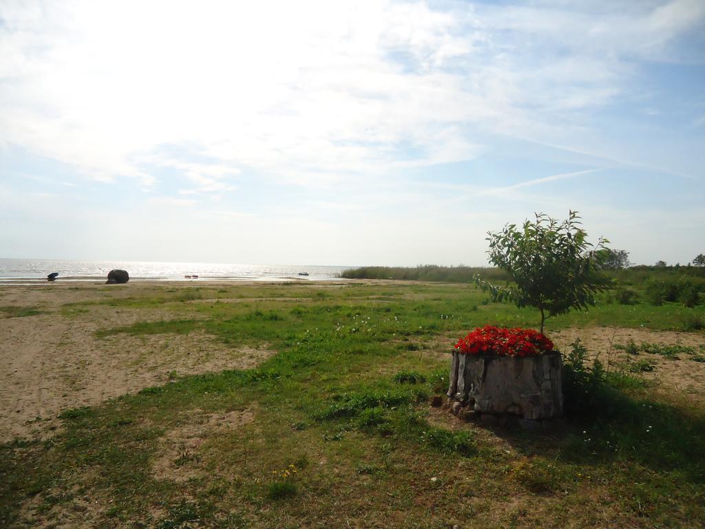 Hotel Paeevatalu Camping Vilusi Exterior foto